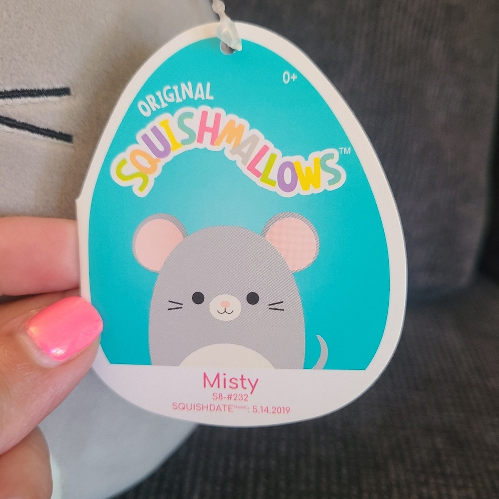 Misty mouse 🐁 - Picture 2 of 2